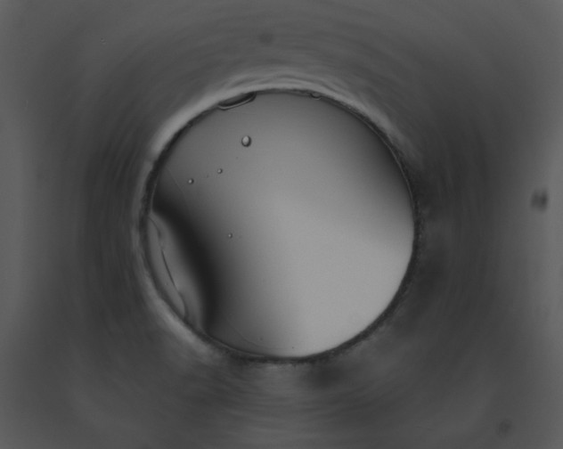 X0000091461518200708301820