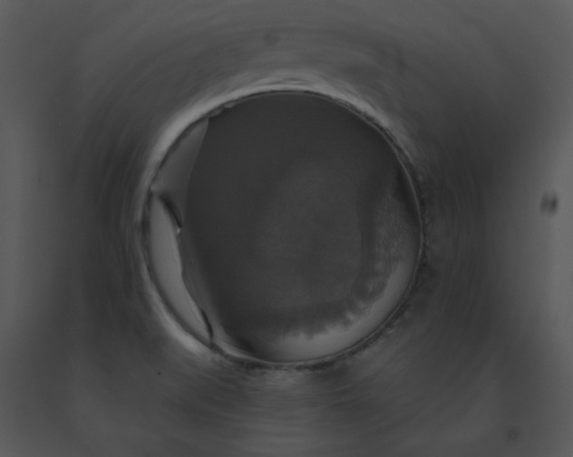 X0000091461519200708301820