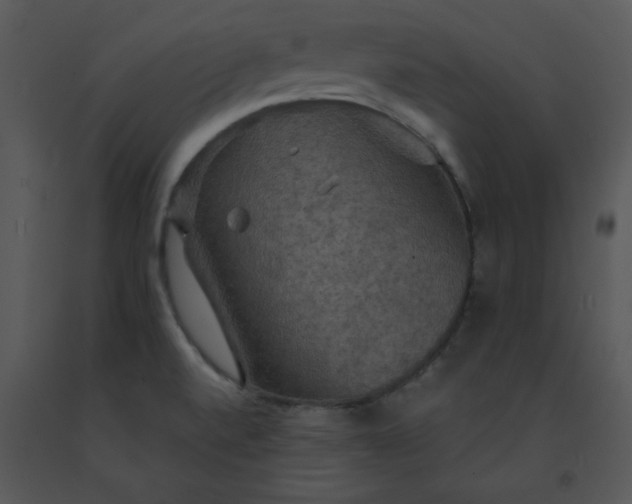 X0000091461520200708301820