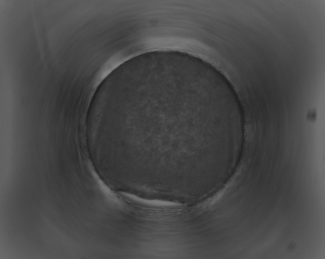 X0000091461521200708301820