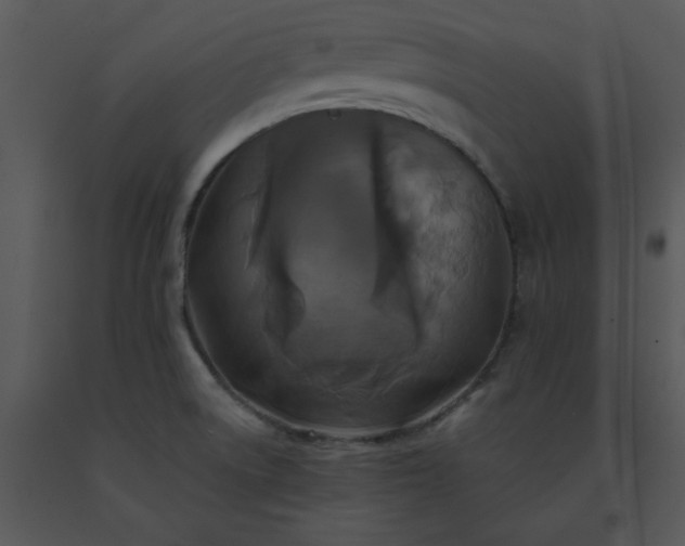 X0000091461522200708301820