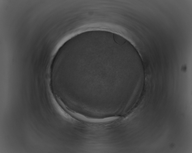 X0000091461523200708301820