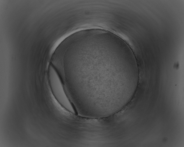 X0000091461524200708301820