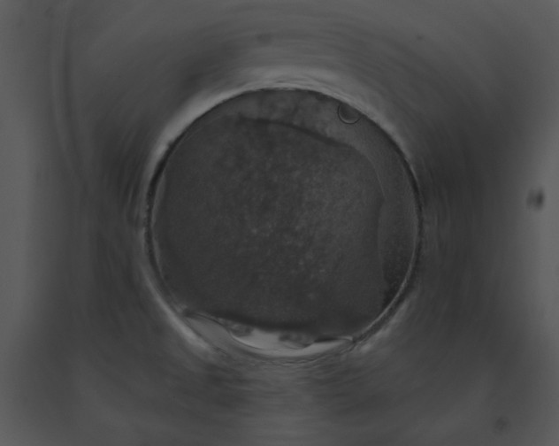 X0000091461525200708301820