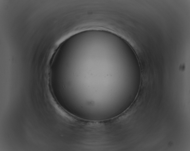 X0000091461526200708301820