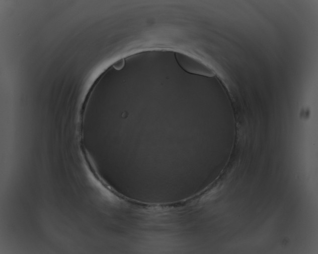 X0000091461527200708301820