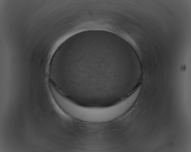 X0000091461528200708301820