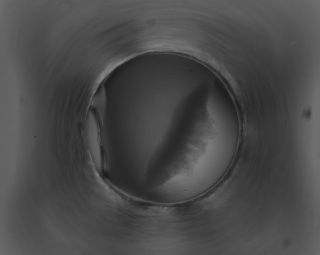 X0000091461529200708301820