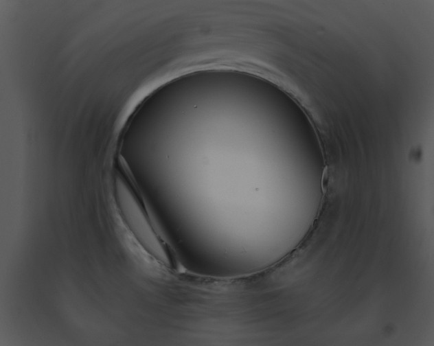 X0000091461530200708301820