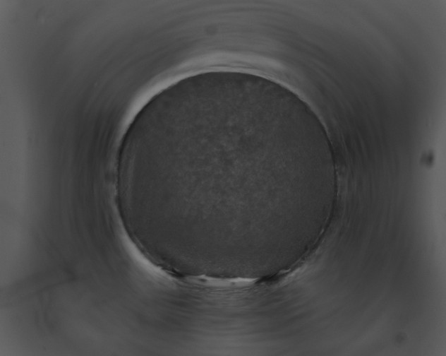 X0000091461531200708301820