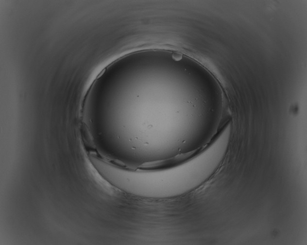 X0000091461532200708301820