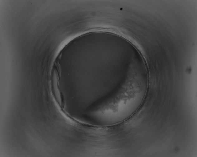 X0000091461533200708301820