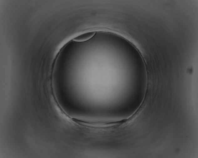 X0000091461534200708301820