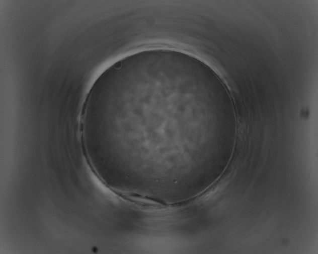 X0000091461535200708301820