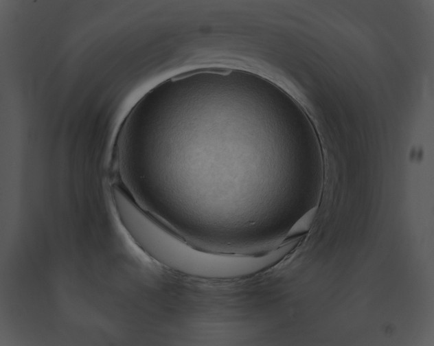 X0000091461536200708301820