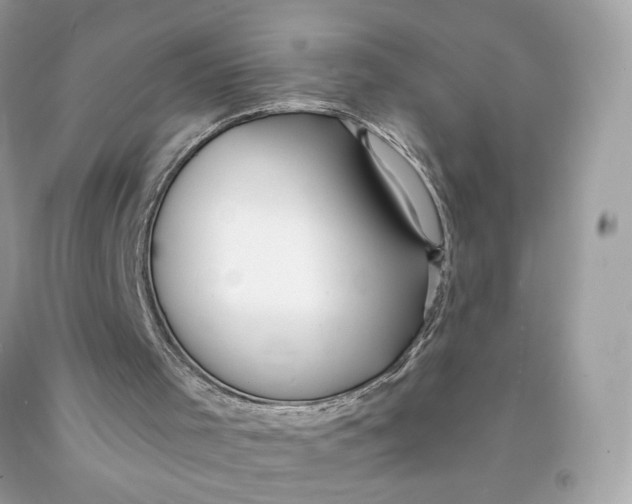 X0000091460001200709061807