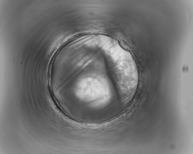 X0000091460002200709061807