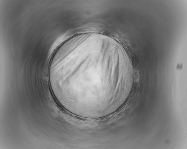 X0000091460004200709061806