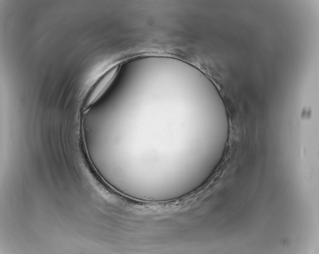 X0000091460005200709061806