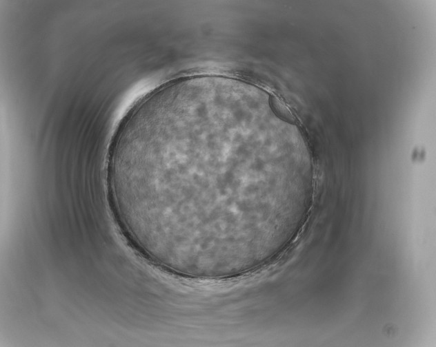 X0000091460006200709061806