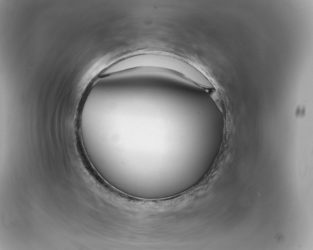 X0000091460007200709061806