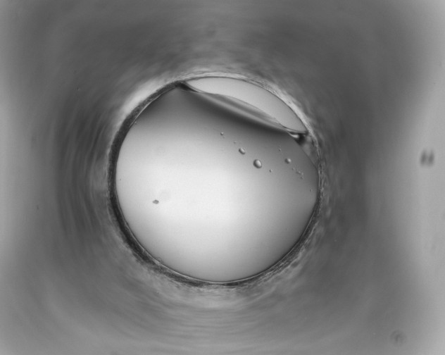 X0000091460008200709061806