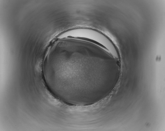 X0000091460009200709061806