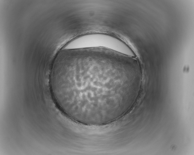 X0000091460010200709061806