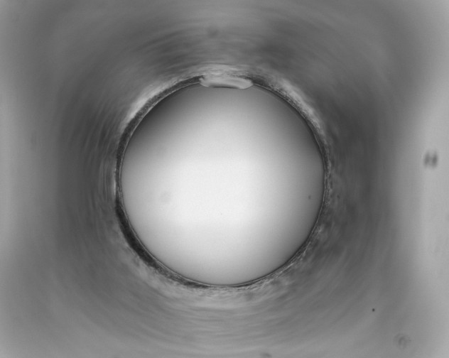 X0000091460011200709061806