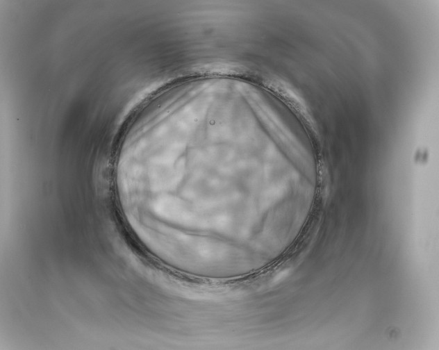 X0000091460012200709061806