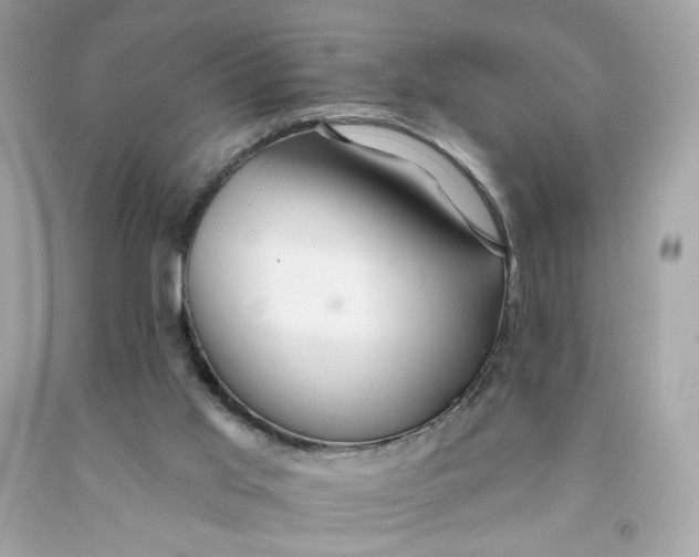 X0000091460013200709061806