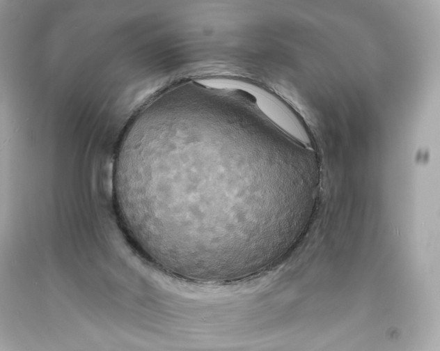 X0000091460014200709061806