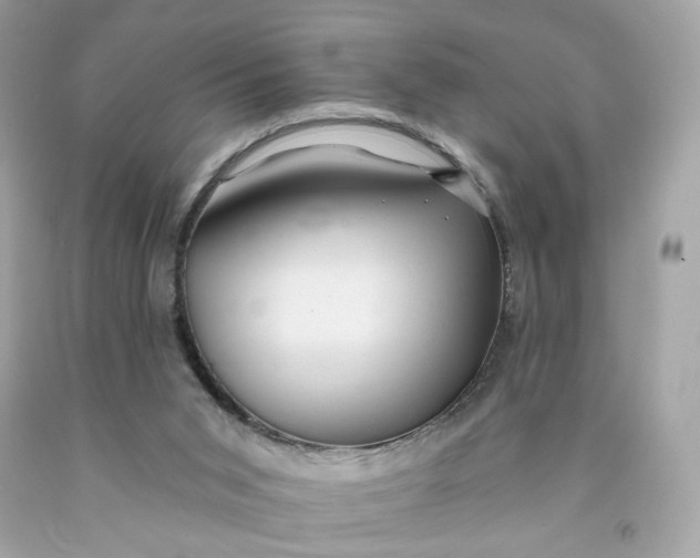 X0000091460015200709061806