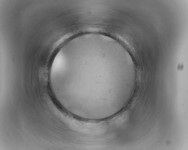 X0000091460016200709061806