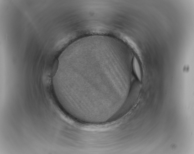 X0000091460017200709061806