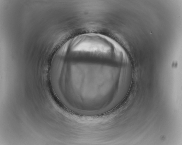X0000091460018200709061806