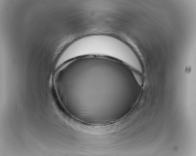 X0000091460019200709061806