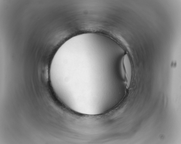 X0000091460020200709061806
