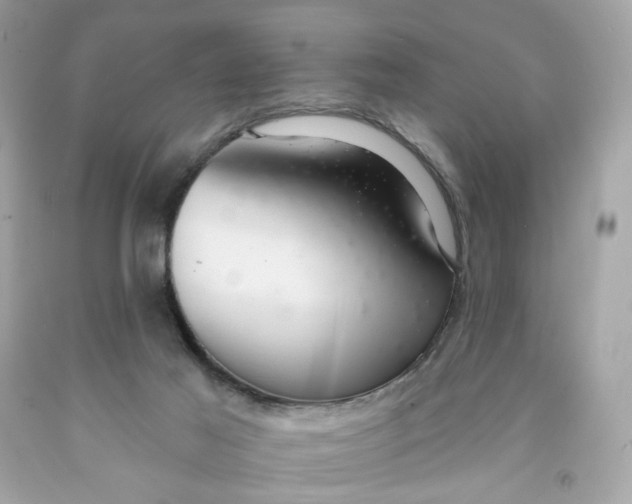 X0000091460021200709061806