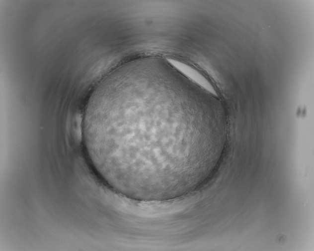 X0000091460022200709061806