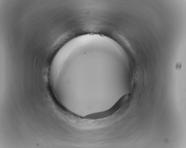 X0000091460023200709061806
