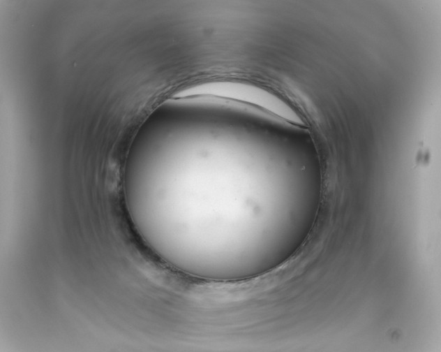 X0000091460025200709061806