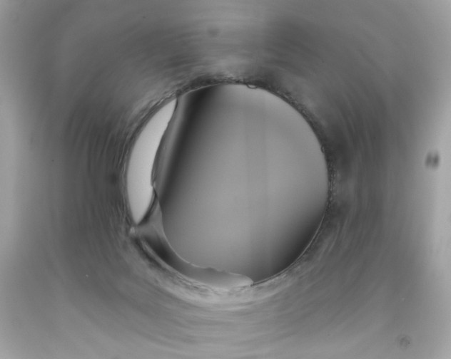 X0000091460027200709061806