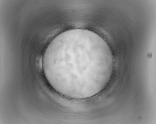 X0000091460028200709061806