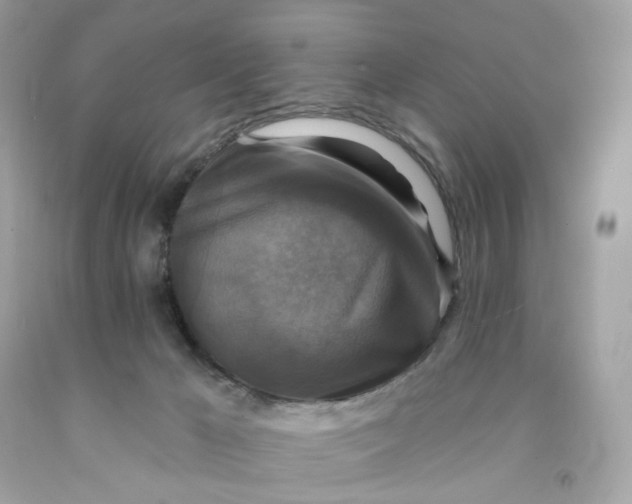 X0000091460029200709061806