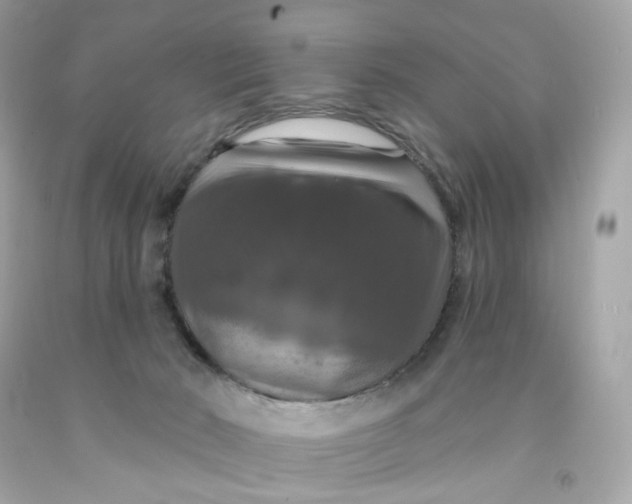 X0000091460030200709061806