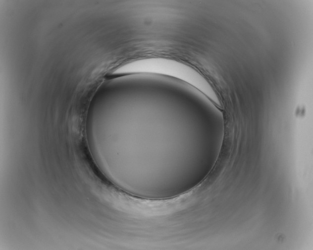 X0000091460031200709061806