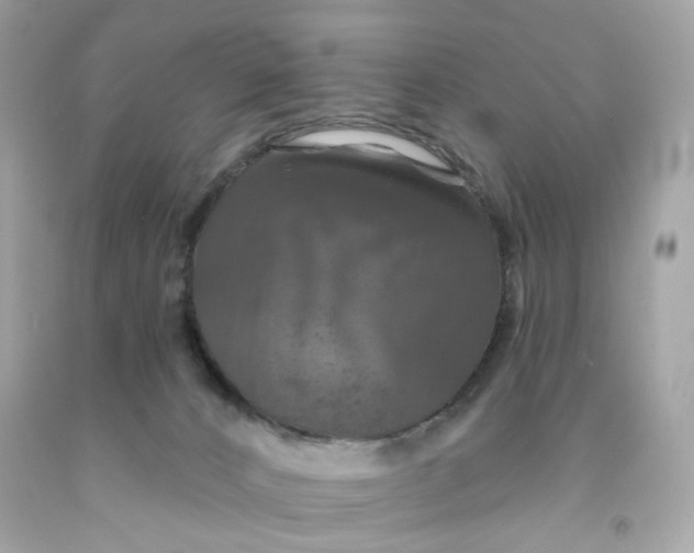 X0000091460032200709061806