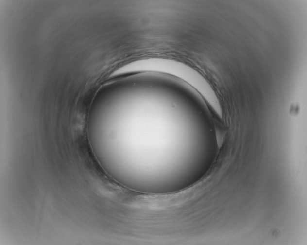 X0000091460033200709061806