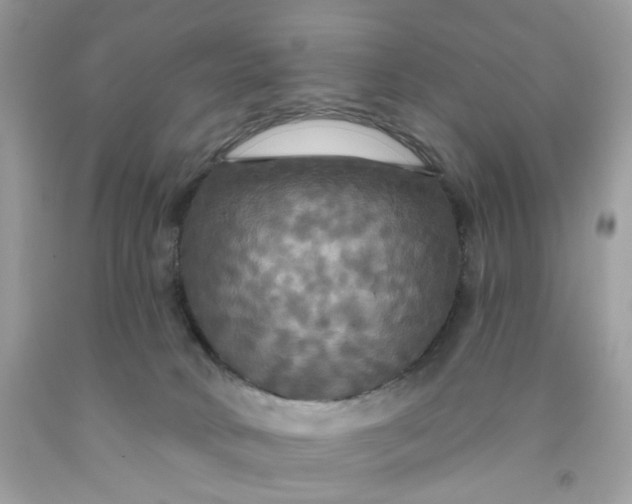 X0000091460034200709061806